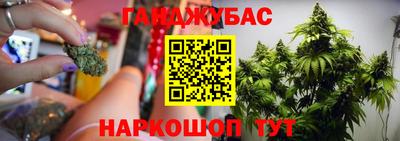 дурь Будённовск