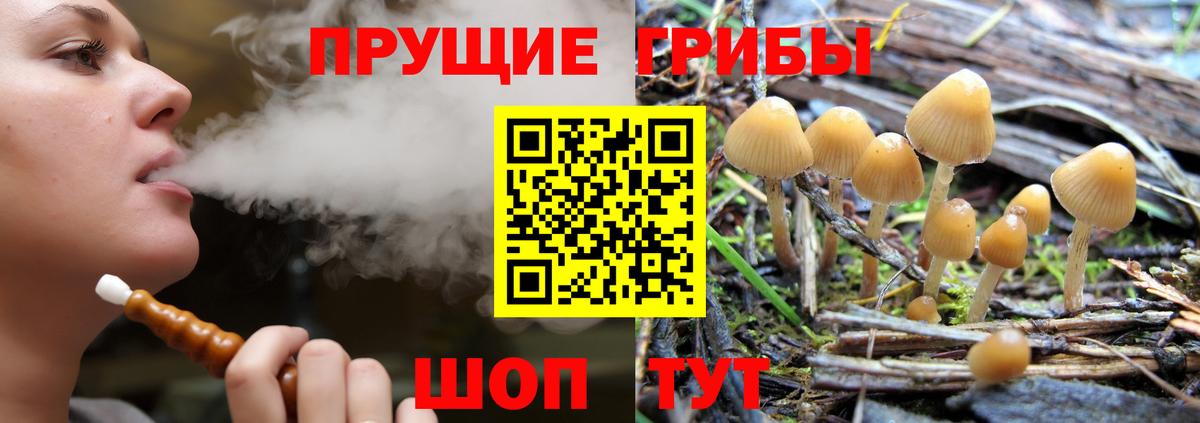 Псилоцибиновые грибы прущие грибы  Вход с VPN  Дальнереченск 